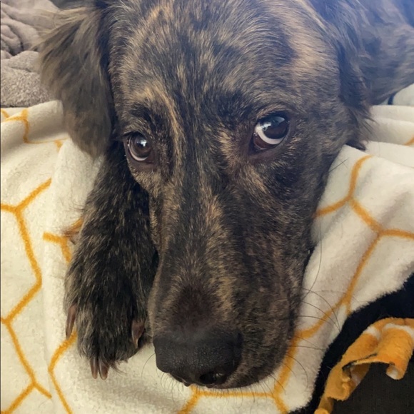 ⚠️Please Read⚠️ - Picture 4 of 8